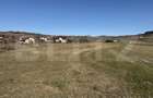 Teren intravilan in localitatea Hereclean in suprafata de 5800 mp - 7