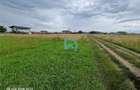 Teren intravilan, 600 mp, Sanpetru, Brasov - 10