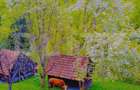 Teren intravilan agricol in Bran - Brasov - 1