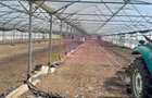 VANZARE TEREN 3100 MP - SAT ROSIORI (IL) - 12
