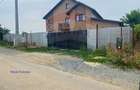 Teren Intravilan de vanzare 3778 mp Branesti Strada Violetelor - 7