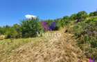 Teren Intravilan 546 mp | Panorama deosebita | PUZ in lucru