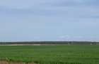 Centura Pantelimon  Vanzare  Teren  extravilan 3ha - 5000mp - 8