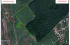 Oportunitate Investitie - 6000mp - Mogosoaia - 3