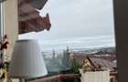 Vila /Casa cu potential in Faget ,510 mp utili - 3