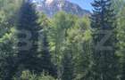 De vanzare, teren intravilan 10.000mp, Predeal - 5