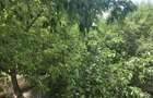 Colentina Rau vanzare apartament 2 camere - 7