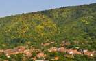 Casa rustica \ Marginimea Sibiului \ Fantanele