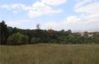 teren intravilan cu PUZ si PUD 2 loturi - 2