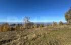 Teren extravilan 6.360 mp in Târsa - 2