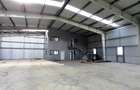 Magurele,hala 1000 mp,constructie noua ,ideal depozitare,productie - 17
