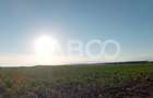 Teren intravilan 2 ha deschidere drum zona Industriala Vest Sibiu