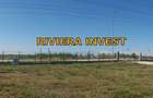 Ovidiu-PECO Celsy- DN 2A teren intravilan, zona industriala - 7