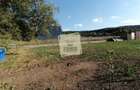 Teren intravilan 3500 mp zona Hamba - 1