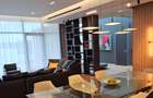 Penthouse spectaculos Nordului - 7