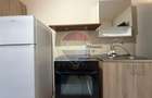 Apartament cu 1 camere de închiriat în zona Dambovita - 1