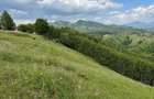 Teren inconjurat de natura de vanzare in Pestera - 7