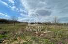 Teren intravilan pentru investitie, 2896 mp, Herneacova Timis - 6