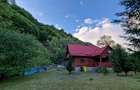 CABANĂ DE VÂNZARE ÎN ROMULI, BISTRIȚA-NĂSĂUD