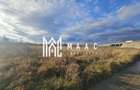 Teren intravilan | Lazaret | 2205 mp - 1