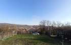 Teren intravilan 2700 mp-ideal case/investitie-Viisoara - 3
