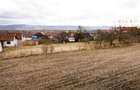 RECO ,teren intravilan in Tinaud,Bihor - 10
