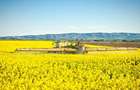 PORTOFOLIU AGRICOL PREMIUM 3.000 HA SUDUL ROMÂNIEI OPORTUNITATE INVESTIȚIONALĂ - 6