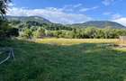 Teren plat construibil, parcelabil, acces drum județean zonă montană superbă   - 10