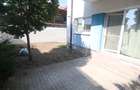 De inchiriat casuta linistita,intr-o zona linistita din Dumbravita - 24