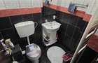 Prelungirea Ghencea/ Vila exclusivista cu panouri solare si garaj/ 5 camere, 240 - 17