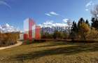 Teren intravilan 500 mp | Tohanița, Bran | Vedere  | Ideal pentru caban - 4