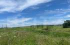 Teren intravilan, 3500 mp, front 12 ml, Dudovicesti, Simnicul de Sus