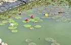 Vânzare Proprietate de excepție cu lac amenajat și pădure proprie | Gura Ocniței - 5