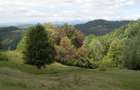 Teren intravilan de vanzare in Telega - 9