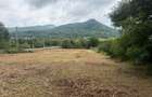 TEREN PREMIUM 4.087 mp – Maramures - 3