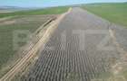 Teren de 4.5ha pretabil pentru panouri fotovoltaice, Dobrovat - 1
