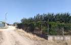 Poiana- str. Cerealelor, teren intravilan curti constructii 3417 mp de vanzare - 2