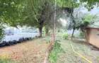 Ap 3 camere - decomandat - Campina - strada Milcovului - 18
