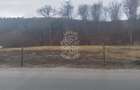 Parcele teren 500-1295 mp cu utilitati-Zona Drumul Tarpiului - 3