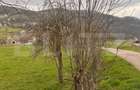 Teren de vânzare 1200 mp situat in Șuncuiuș, zonă cabane – ideal casă de vacanță - 5