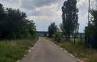 PROPRIETAR Teren stradal ILFOVENI - 1
