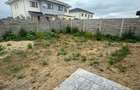 COMISION 0% DUPLEX - CALEA URSENI - 19