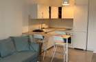 Apartament 2 camere, decomandat – Complex Barcelona Residence, Titan - 2