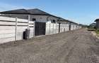 Casă individuală Clinceni | 402 mp teren | 3 dormitoare | Comision 0%