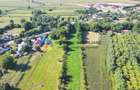 TEREN intravilan  6764 mp DRAGOMIREȘTI - VAD. - 5