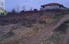 Teren intravilan Oradea - 6