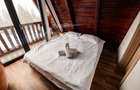 Cabana A-frame 5 camere la Belis / Business functional si profitabil - 10