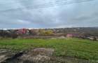 Teren intravilan de vanzare, 4300mp, Rediu, Intersectia Breazu - 4