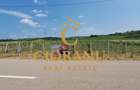 Teren intravilan cu PLANTATIE DE GOJII de vanzare in Racari - 1