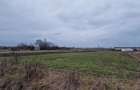 RECO Teren intravilan in Bors cu front mare - 4